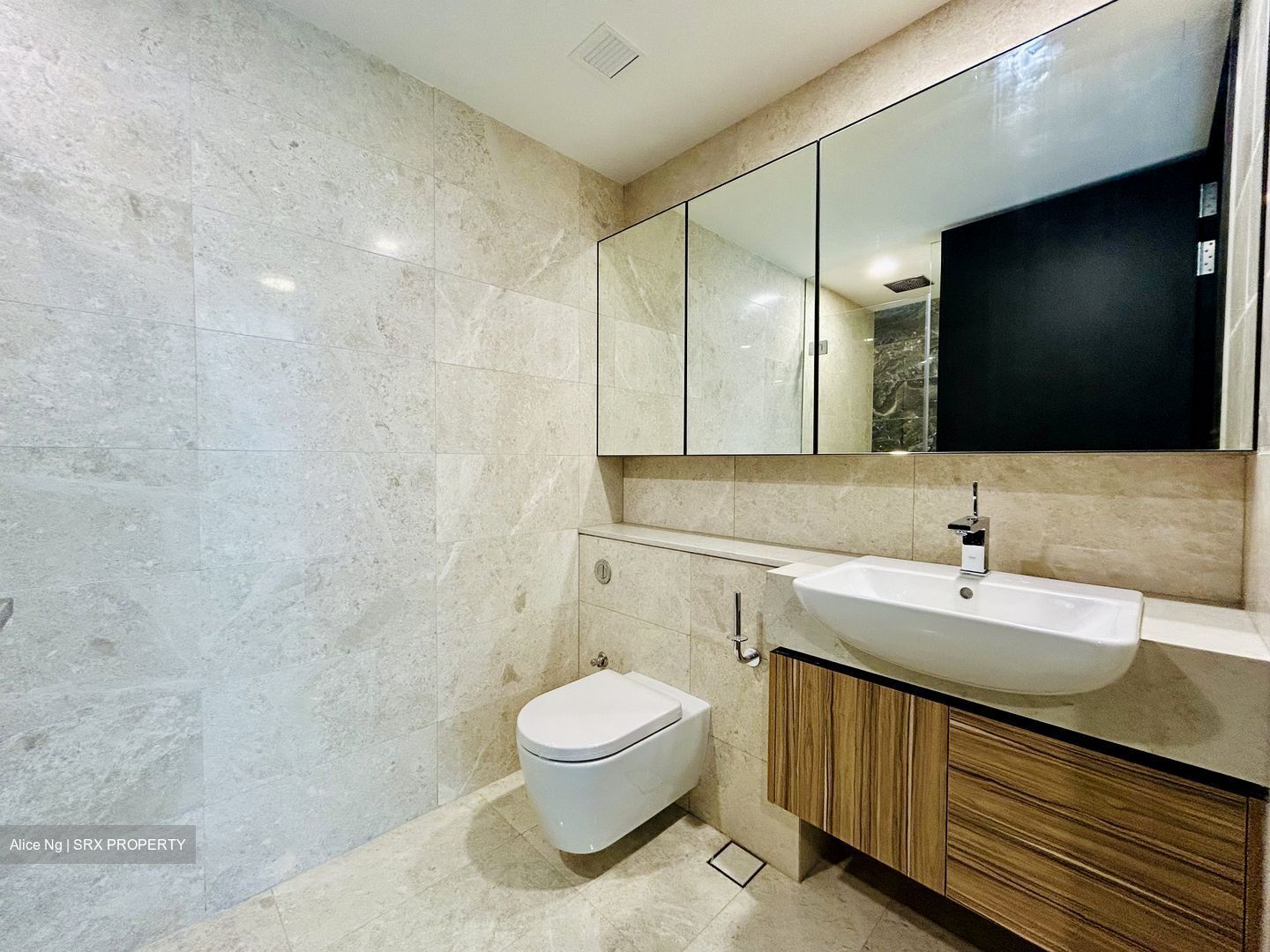 Pullman Residences Newton (D11), Apartment #448858321